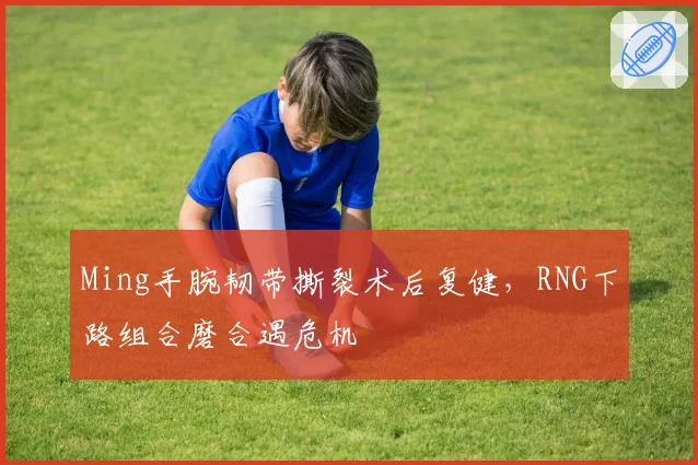 Ming手腕韧带撕裂术后复健，RNG下路组合磨合遇危机