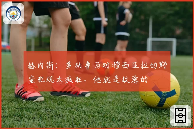 赫内斯：多纳鲁马对穆西亚拉的野蛮犯规太疯狂，他就是故意的