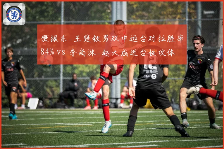 樊振东_王楚钦男双中远台对拉胜率84% vs 李尚洙_赵大成近台快攻体系：洲际打法碰撞